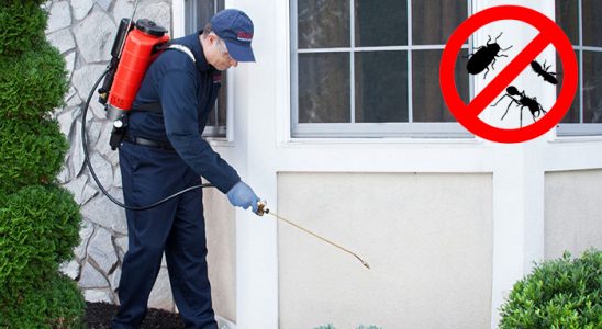 Akçakoca Fare İlaçlama böcek ilaçlama ve haşere kontrolü — ilaclama-tr.com